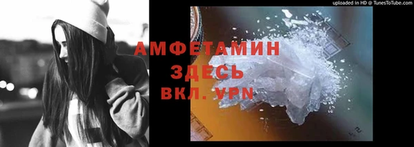 прущие грибы Верея