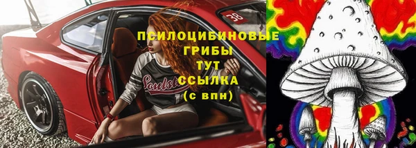 spice Бородино