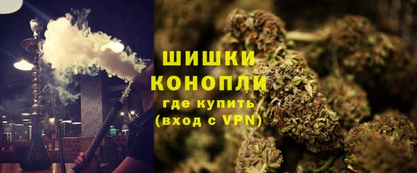 spice Бородино