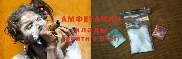 прущие грибы Верея